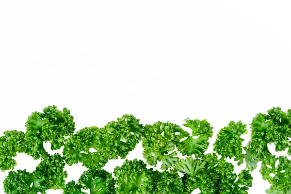 Isolated Fresh Green Curled Parsley Top View Chopped Parsley Leaves Royalty Free Stock Photos