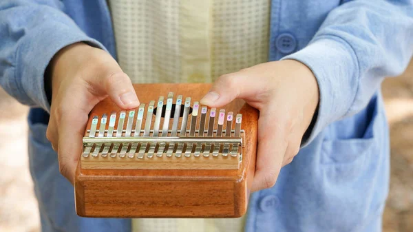 Başparmak Piyanosu Kalimba Enstrüman Çalan Bir Kadın Ellerinle Oyna Parmaklarınla Stok Fotoğraf