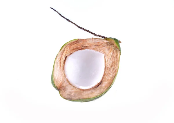 Grüne Kokosnuss Isoliert Auf Weißem Hintergrund — Stockfoto