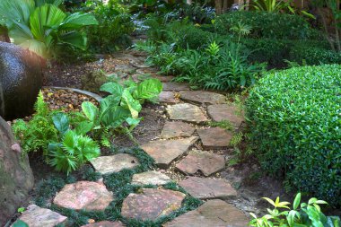 Bahçedeki taş geçit.