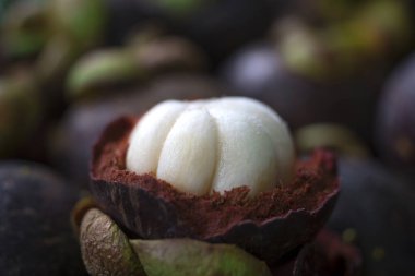 Mangosteen, Tayland 'da tropik meyvelerin kraliçesidir..