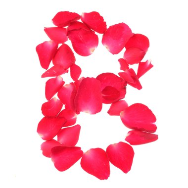 gül yaprakları beyaz zemin üzerine izole ünsüz