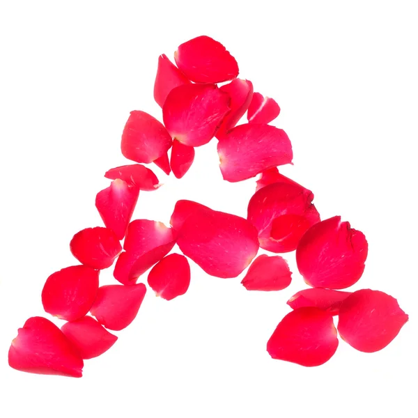 Consonant of rose petals isolated on white background — Stock Photo, Image