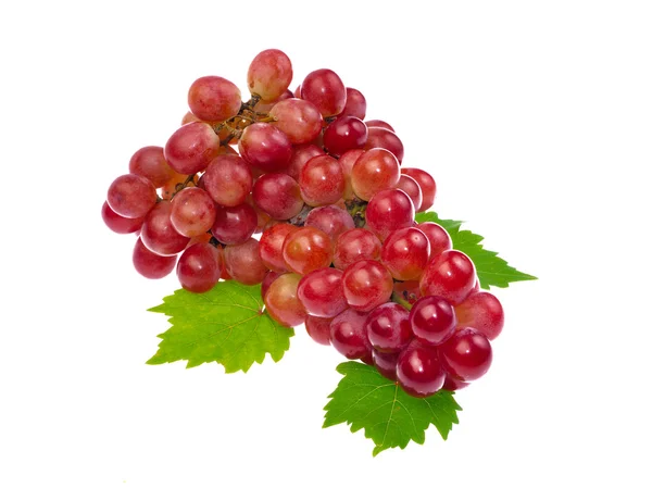 Червоний виноград з листям ізольовано на білому тлі — стокове фото