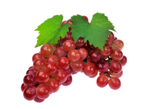 Красный виноград с листом на белом фоне — стоковое фото