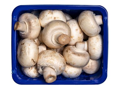 Mantarlarla dolu mavi sepetin tam çerçeve görüntüsü