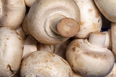 Mantarların tam çerçeve üstü görünümü