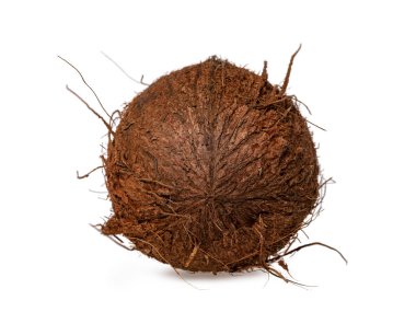 Tüm hindistan cevizinin detaylı görüntüsü. Beyaz arkaplanda izole.