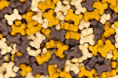 Kemik şekilli köpek bisküvilerinden makro kare yakın çekim.