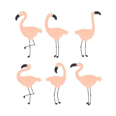 cartoon set of flamingo. Summer colorful vector illustration, flat style. design for cards, print, posters, logo, cover
