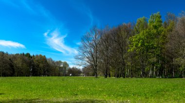 Parkın üzerindeki bulutlar