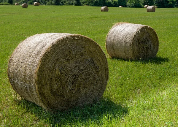 Coppia Balle Paglia Sul Campo Pronte Raccolta — Foto Stock