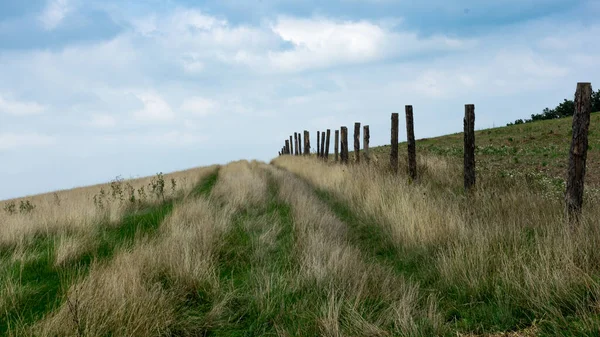 Lane Field Nothing — Stock fotografie