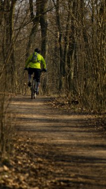 Bisikletçi ormanda bir bisiklet sürme