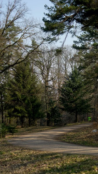 Svängen på en grusväg i skogen — Stockfoto