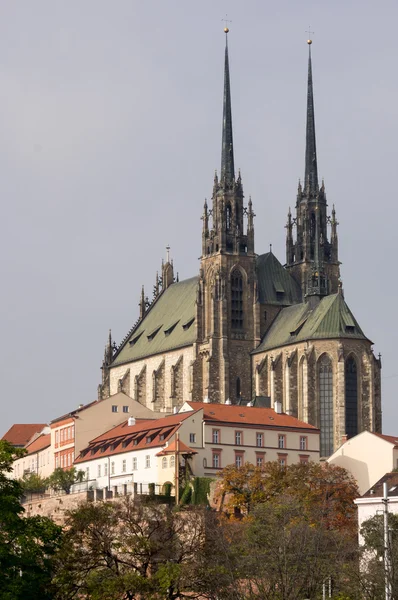 Catedral de São Pedro e Paulo, Brno — Fotografia de Stock