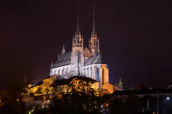 Foto nocturna de la Catedral de San Pedro y Pablo, Brno Fotos De Stock