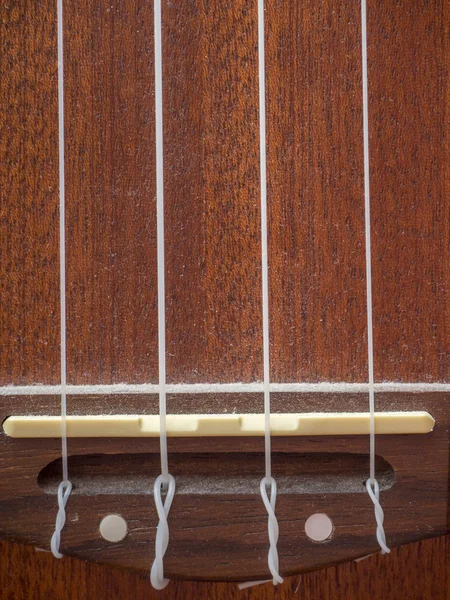 Ukulele ve dizeleri — Stok fotoğraf