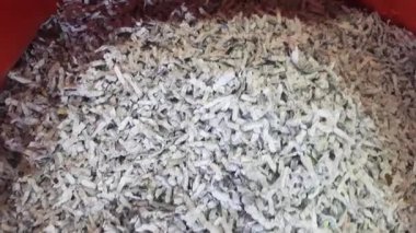 Parçalanmış Kağıt Atıkları Belge İmha Kavramı