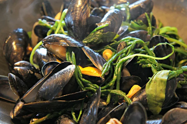 Mejillones con samphire y lavanda de mar — Foto de Stock