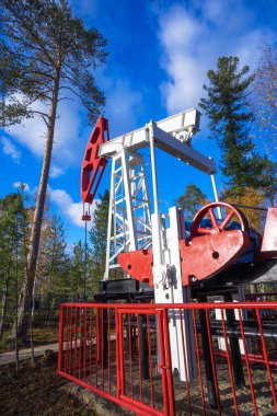 Petrol Orman ağaçları arasında makine sallanan sandalyede.