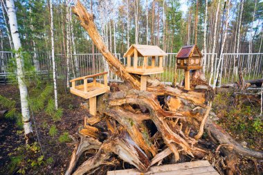 Kuşlar ve Sincaplar Park için üç besleyiciler . 