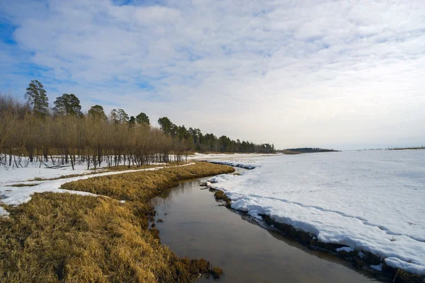 Paisaje de primavera con un arroyo detrás de un montículo de nieve  . — Foto de Stock