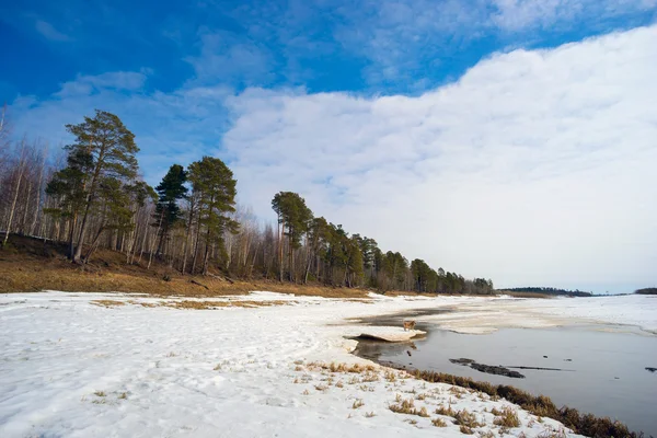 Wiosenny krajobraz. Syberia, Yugra. — Zdjęcie stockowe