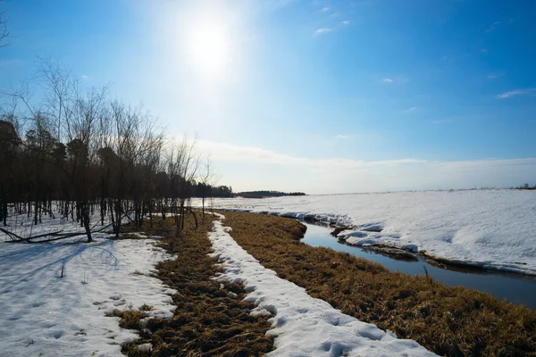 Wiosenny krajobraz. Syberia, Yugra. — Zdjęcie stockowe