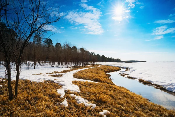 Wiosenny krajobraz. Syberia, Yugra. — Zdjęcie stockowe
