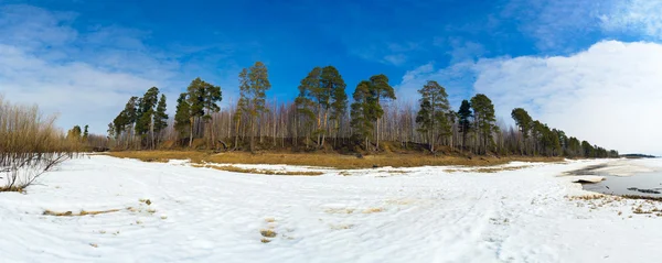 Våren landskap. Sibirien, Yugra, panorama. — Stockfoto