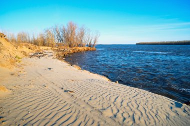 Bahar manzara. Ob Nehri'nin kıyısında.