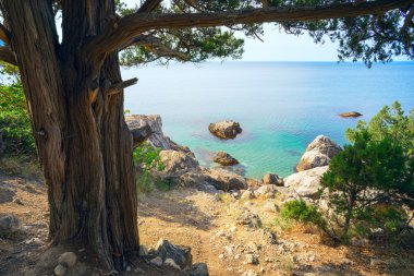 Deniz manzarası. Karadeniz sahil yolu .