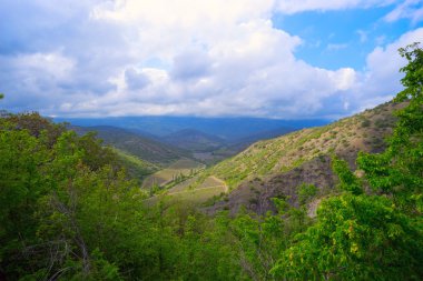 Mesafe üzüm bağları ile dağ manzarası.