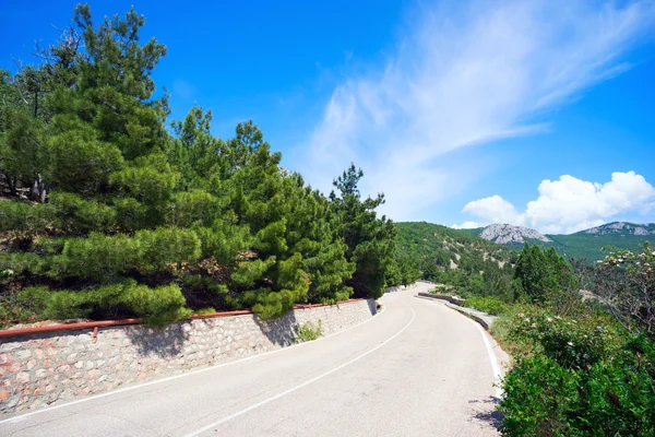 Strada in montagna. — Foto Stock