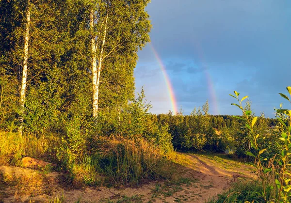 Rainbow over the forest . Summer landscape. Leningrad region .