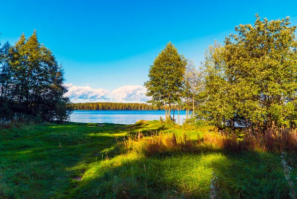 Green glade in front of the lake . Summer landscape . — Stock Photo, Image