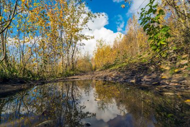 Sonbaharda bir dağ gölünün kumlu kıyısı. Leningrad bölgesi..