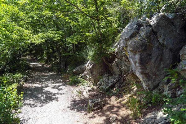 A face carved in a large stone along a sunny path. Crimea. Yalta. — Stock Photo, Image