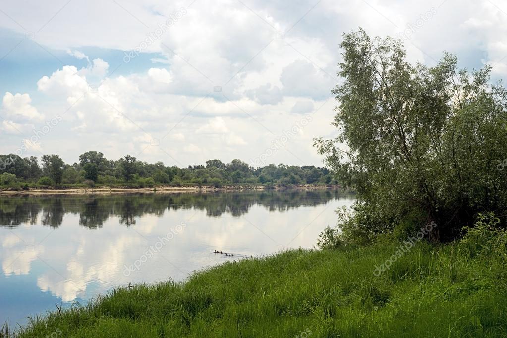 Landscape with views of the river Pripyat.