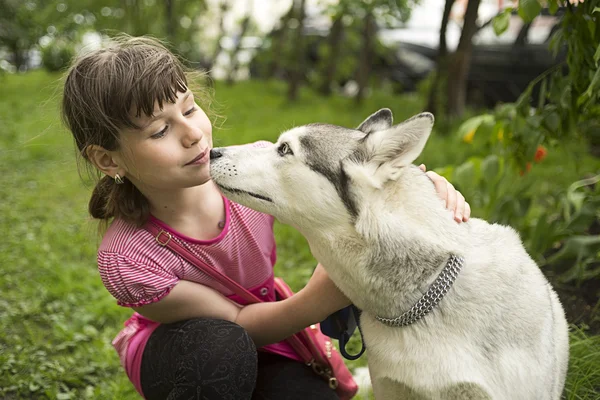Das Mädchen will den Hund küssen. — Stockfoto