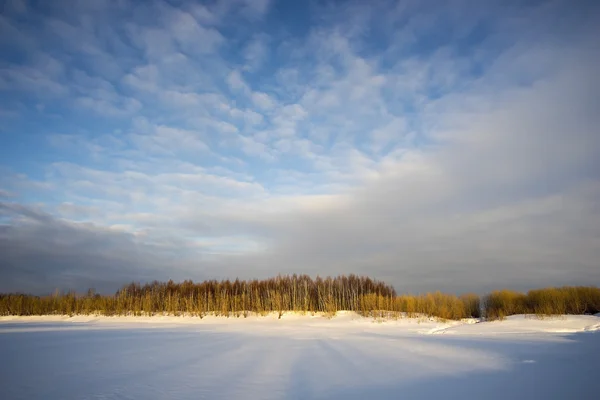 Paisagem inverno. — Fotografia de Stock