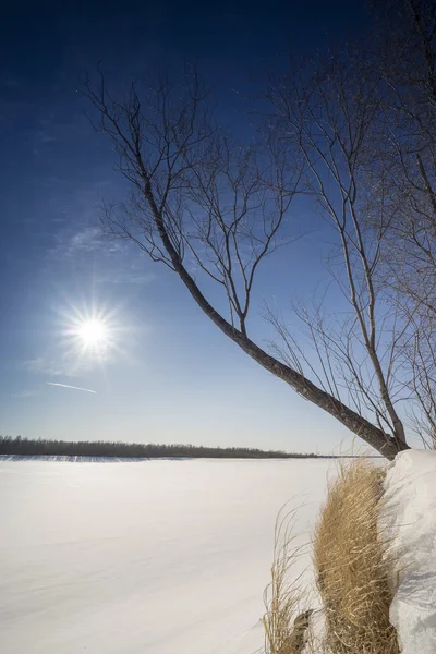 Paisaje invierno. — Foto de Stock