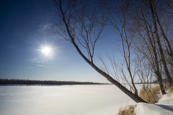 Paisagem de inverno no rio — Fotografia de Stock
