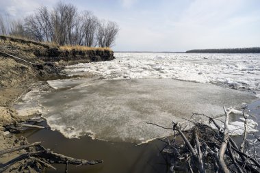 nehir ob üzerinde buz drift