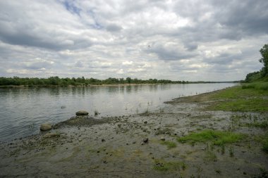 nehir kıyısında güzel yaz peyzaj.