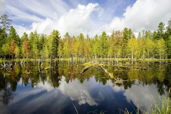 Principios de otoño. Paisaje con reflejo en el agua . — Foto de Stock