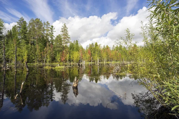 El paisaje de humedales del norte con lago y nubes — Foto de Stock