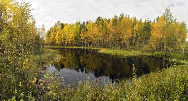 Panorama sobre el río en otoño — Foto de Stock