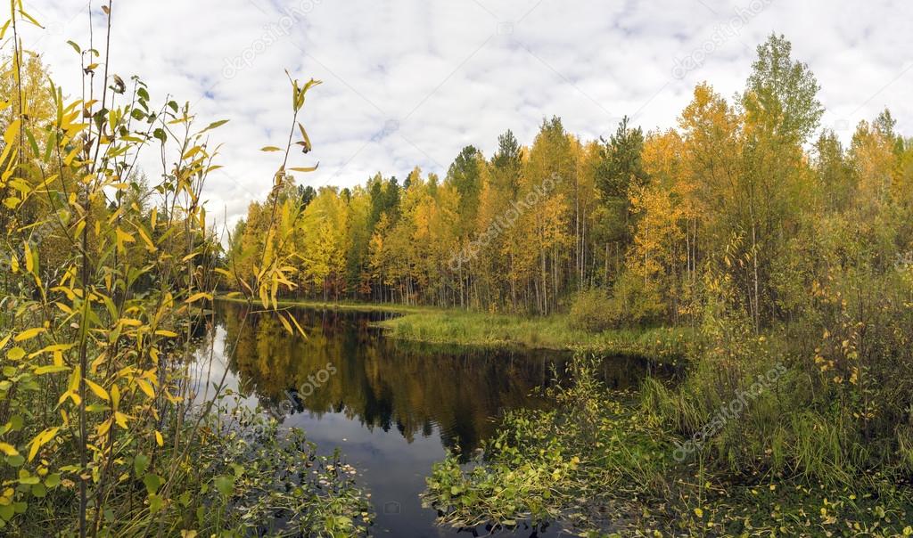 Beautiful reflection in the water of trees  autumn